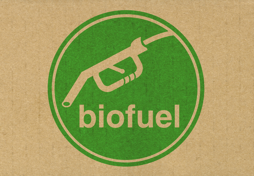 Biofuel